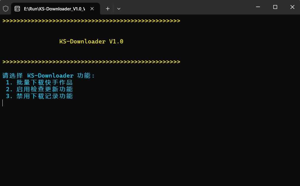 KS-Downloader 运行界面