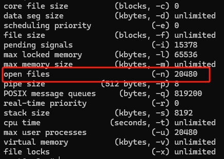 ulimit -a 查看 open files 的值
