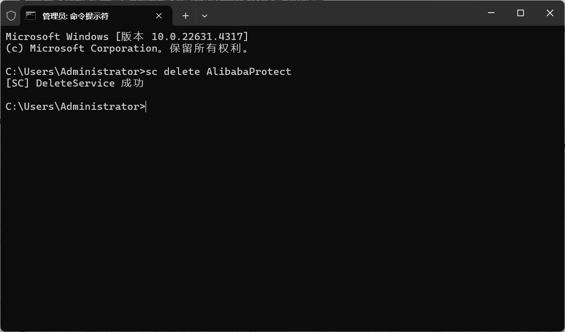 Alibaba PC Safe Service 删除操作