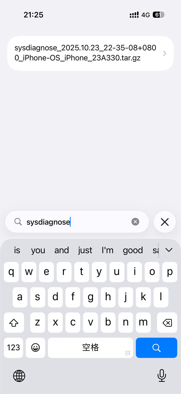 iPhone 查看屏幕供应商 查找 sysdiagnose